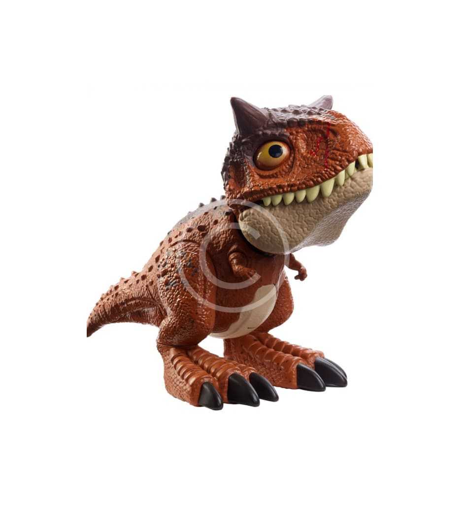 Skywinder Toy - Image 4